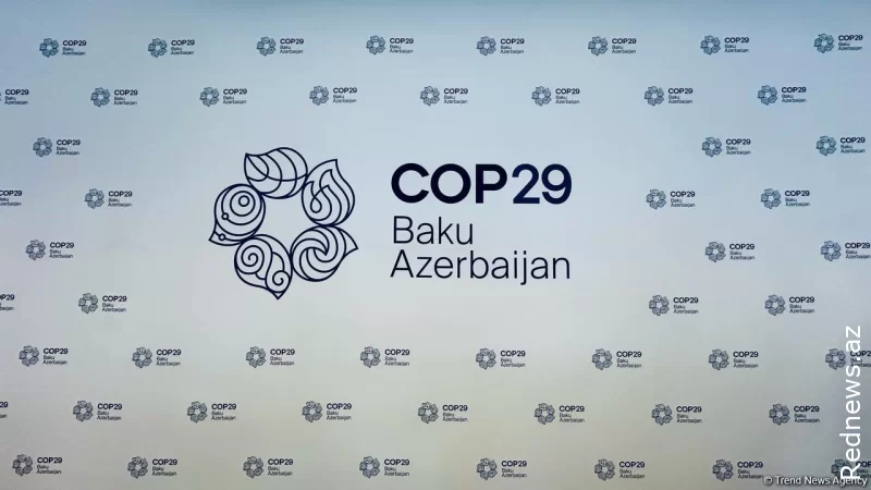 COP29 ilə bağlı RƏSMİ AÇIQLAMA